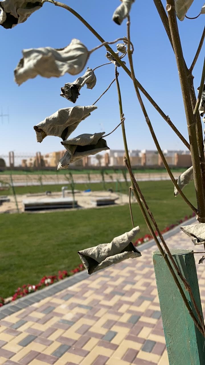 بوابة 11 جامعة الملك فيصل
